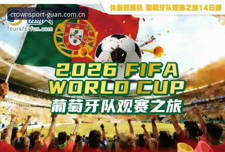2026世界杯观赛体验深度评测：签证困局下的球迷困境与平台应对